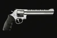 Imagem de REVOLVER TAURUS RT 838 ALLIGATOR .38 SPL (8,3 POL) INOX A.BRILHO